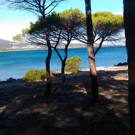 Apartment With 2 Bedrooms In Provincia Di Olbia Tempio With Wonderful City View Furnished Garden And Wifi 800 M From The Beach Tanaunella