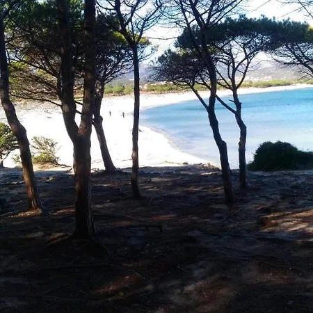 Apartment With 2 Bedrooms In Provincia Di Olbia Tempio With Wonderful City View Furnished Garden And Wifi 800 M From The Beach *